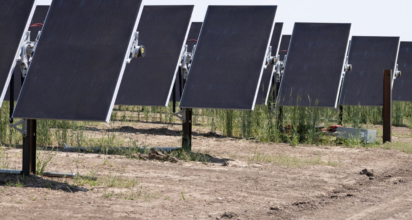 Front facing view of solar panel rows
