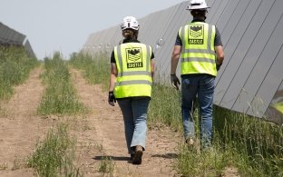Two people in Castle PPE walking along solar panel row