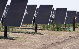 Front facing view of solar panel rows