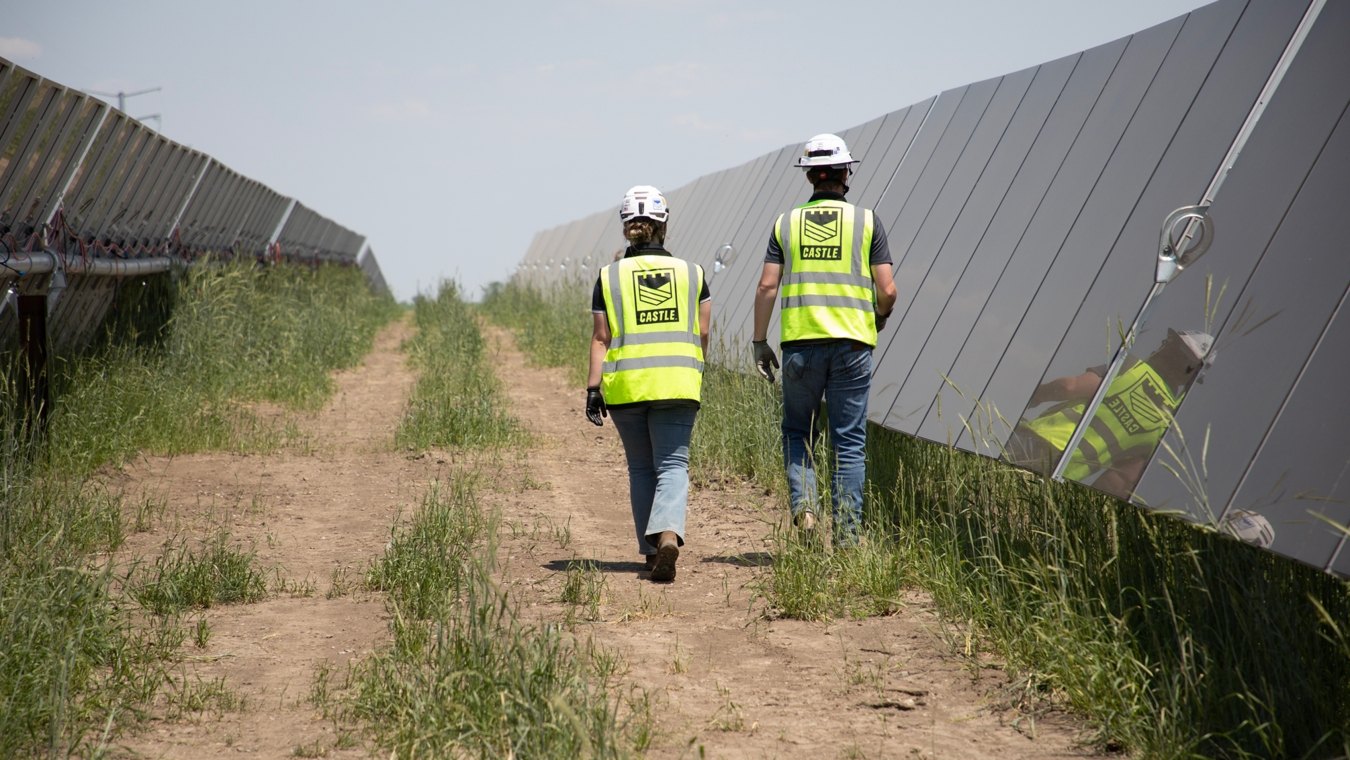 Two people in Castle PPE walking along solar panel row