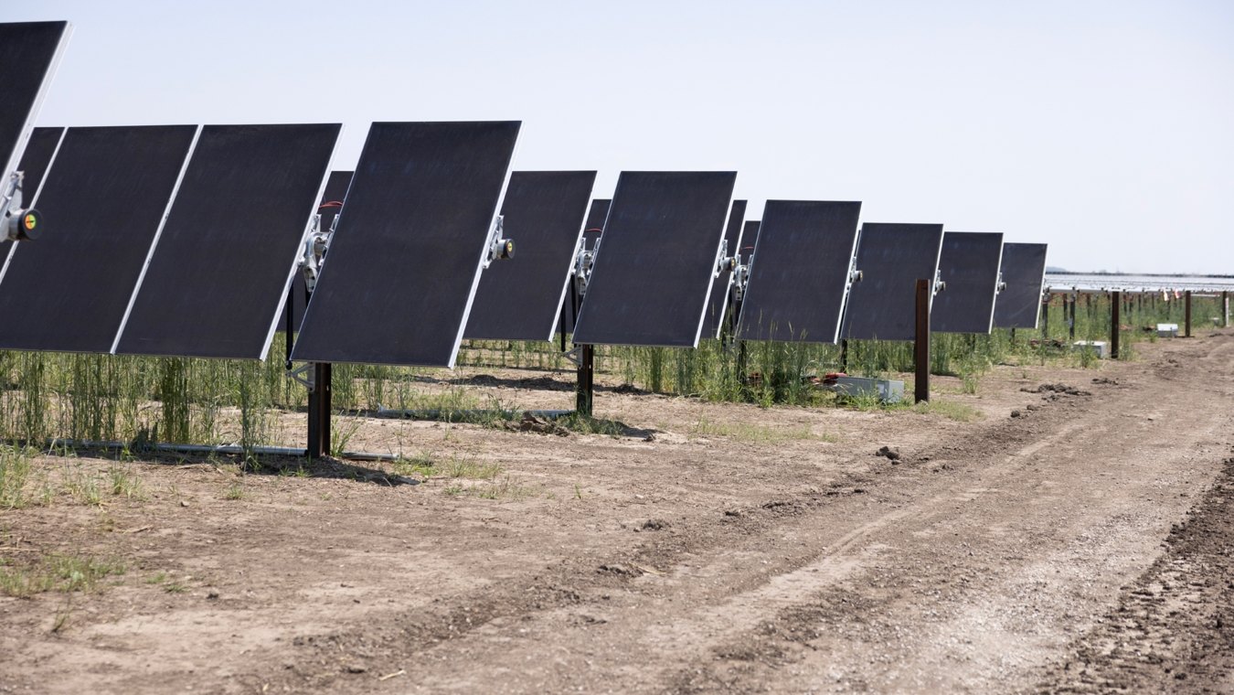Front facing view of solar panel rows