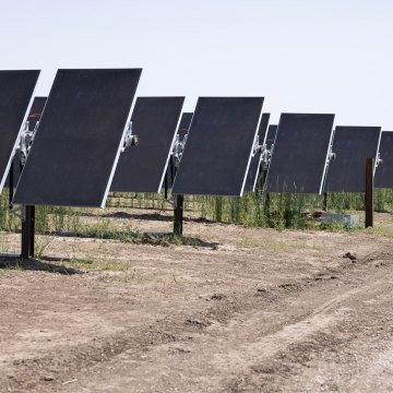 Front facing view of solar panel rows